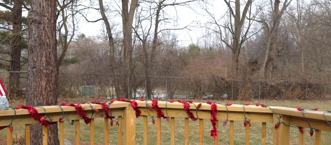 craft care homes holt